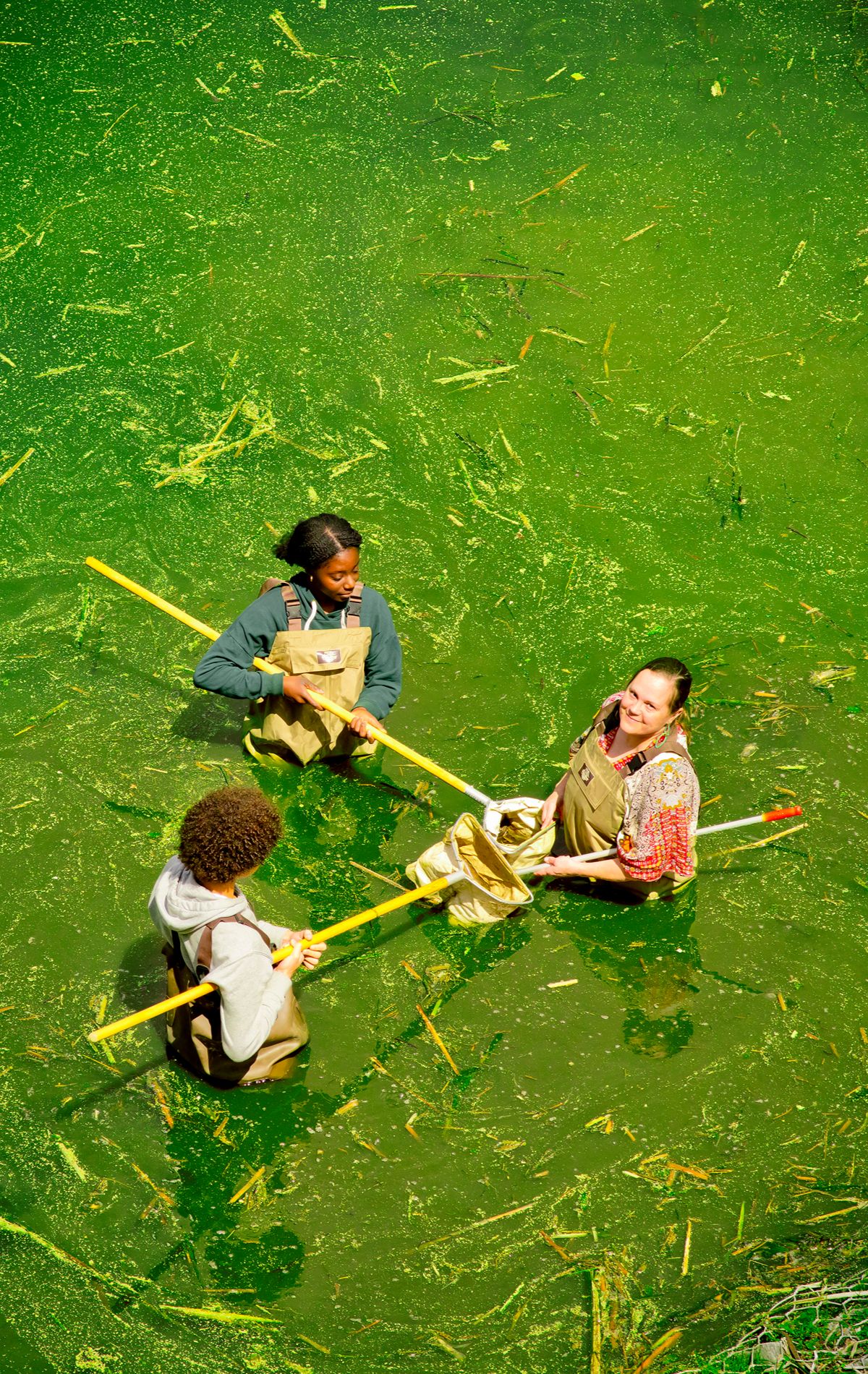 students helping clean a lake