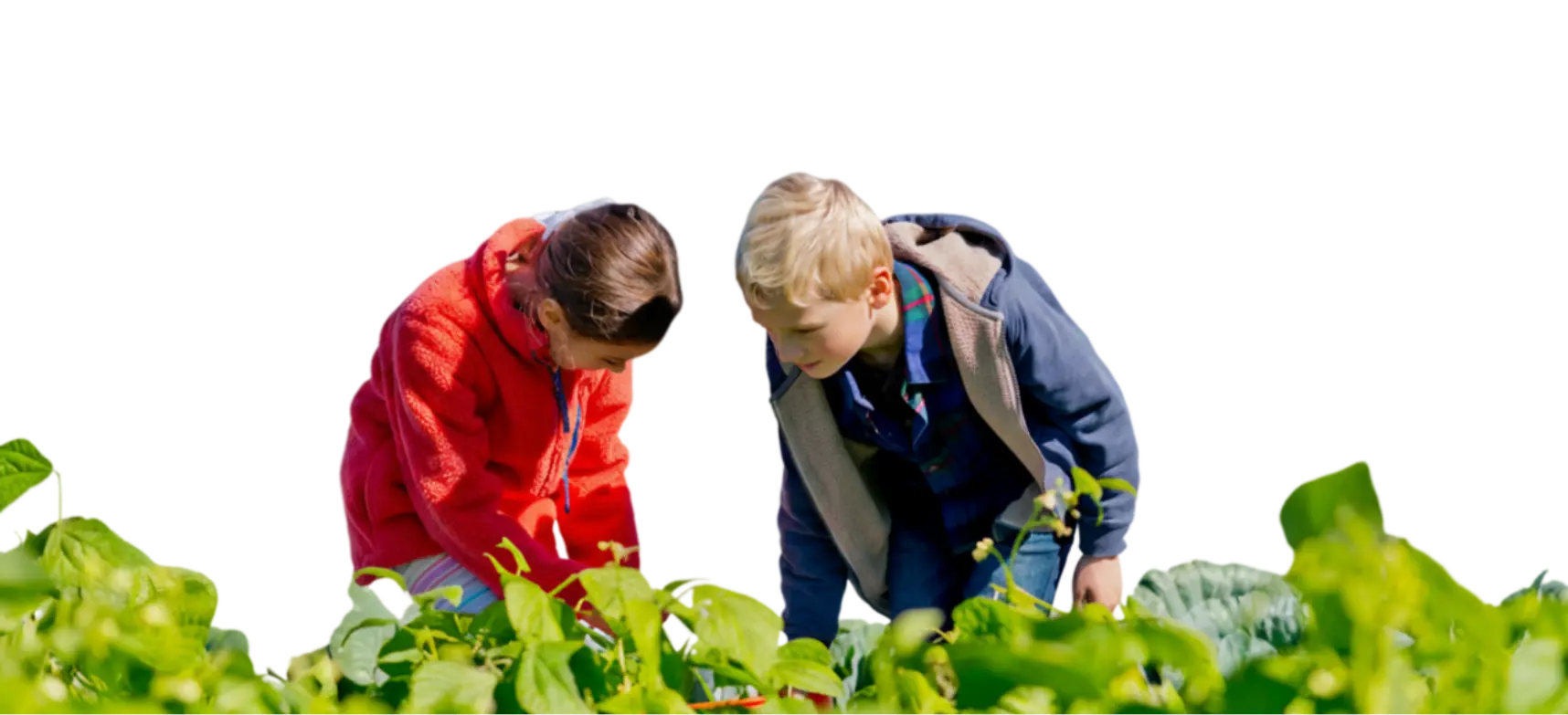 Students learn about sustainability at Collegiate community partner, Shalom Farms