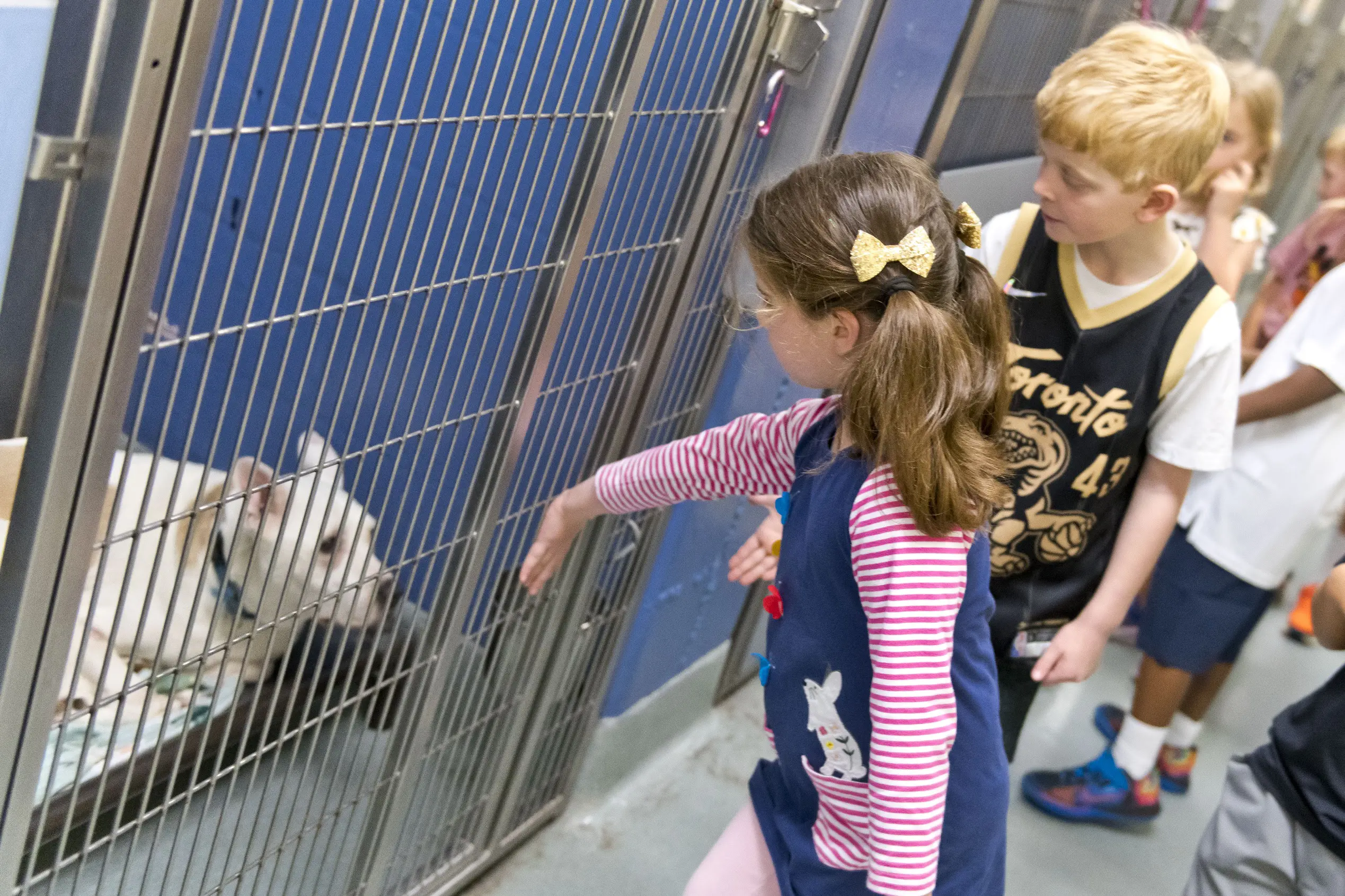  OptimizedImage,SPCA,civic engagement,,Optimized
