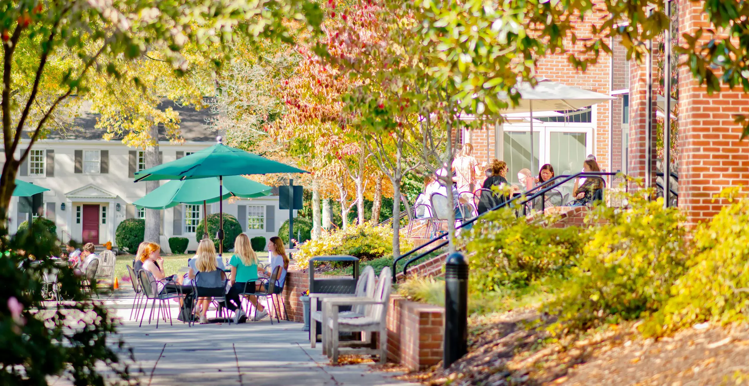 Students sitting outdoors