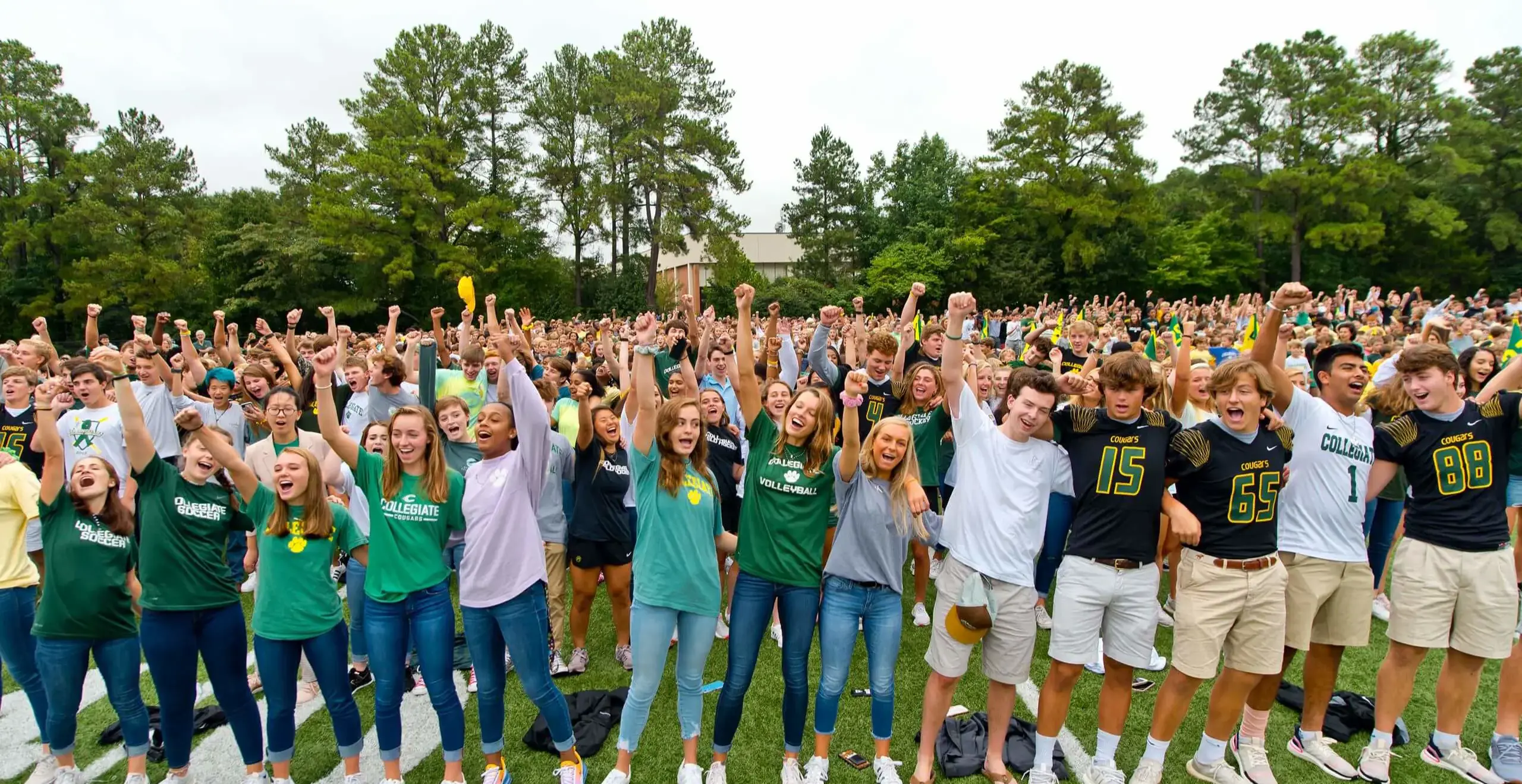students raising their hands